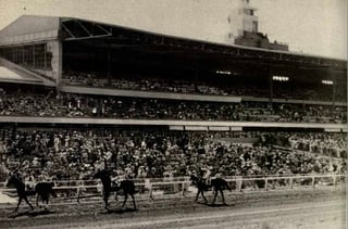 Picture of Hollywood Park Racetrack