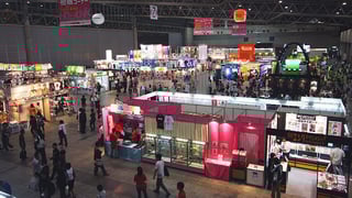 Picture of Tokyo Game Show