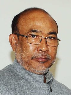 Picture of N. Biren Singh