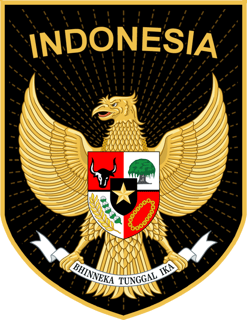 Picture of Indonesia national football team