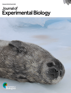Picture of The Journal of Experimental Biology