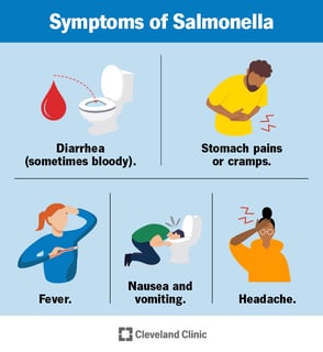 Picture of salmonellosis