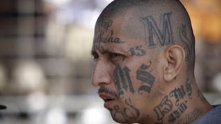 Picture of MS-13