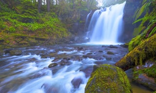 Picture of Willamette National Forest