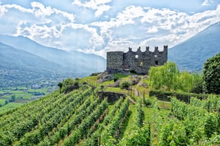 Picture of Valtellina