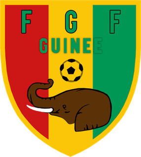 Picture of Guinea national football team