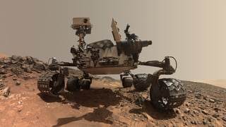 Picture of Curiosity