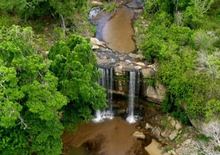 Picture of Shimba Hills National Reserve