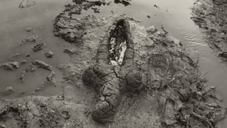 Picture of Ana Mendieta