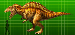 Picture of Acrocanthosaurus