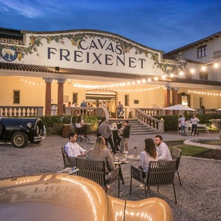 Picture of Freixenet