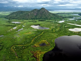Picture of Pantanal