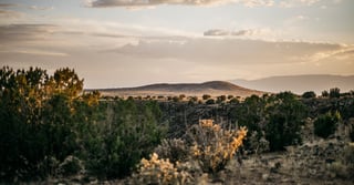 Picture of Caja del Rio
