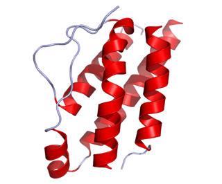 Picture of Interleukin-2