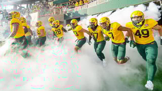 Picture of Baylor Bears football