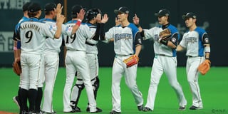 Picture of Hokkaido Nippon-Ham Fighters