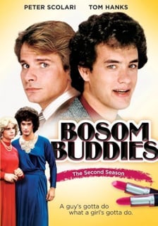 Picture of Bosom Buddies