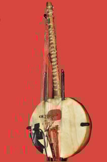 Picture of Kora