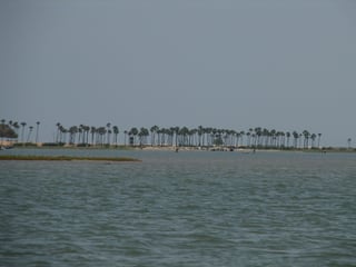 Picture of Pulicat Lake