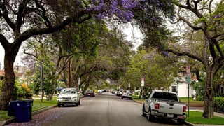 Picture of Rancho Park