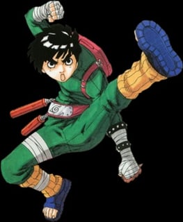 Picture of Rock Lee