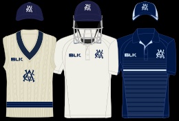 Picture of Victoria cricket team