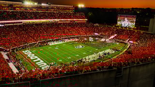 Picture of Sanford Stadium