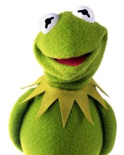 Picture of Kermit the Frog