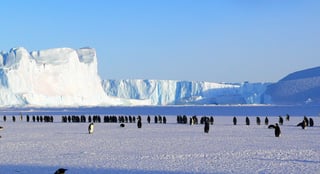 Picture of Antarctic ice sheet