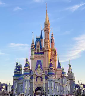 Picture of Cinderella Castle