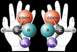 Picture of Chirality
