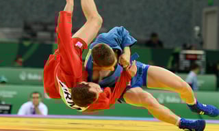 Picture of Sambo
