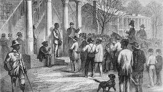 Picture of Black Codes