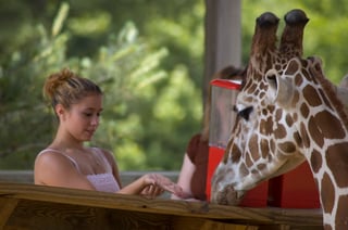 Picture of Metro Richmond Zoo