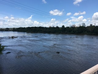 Picture of Congaree River
