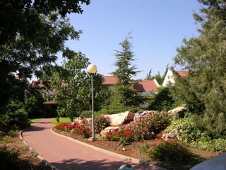Picture of Yiftah