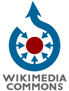 Picture of Wikimedia Commons