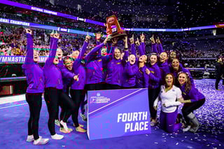 Picture of LSU Tigers gymnastics