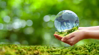 Picture of Environmental protection