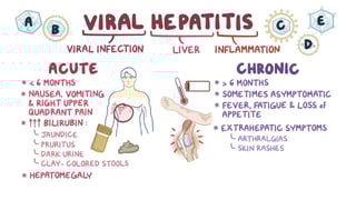 Picture of viral hepatitis