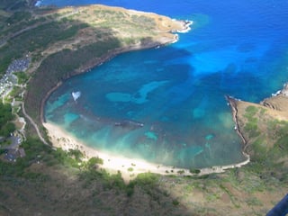 Picture of Bay
