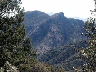 Picture of Huachuca Mountains