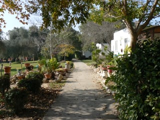 Picture of Mefalsim