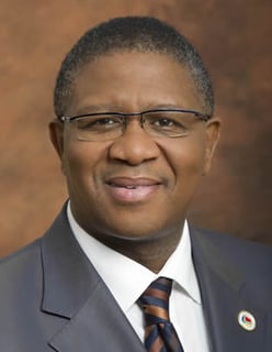 Picture of Fikile Mbalula