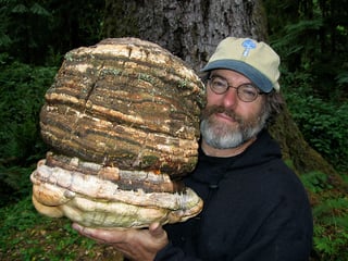 Picture of Paul Stamets
