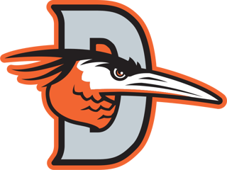 Picture of Delmarva Shorebirds
