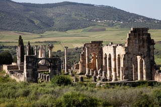 Picture of Volubilis