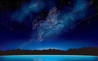 Picture of Leo