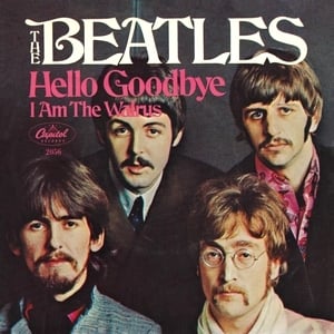 Picture of Hello, Goodbye