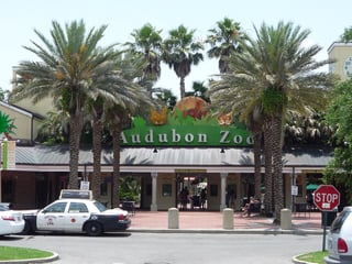 Picture of Audubon Zoo
